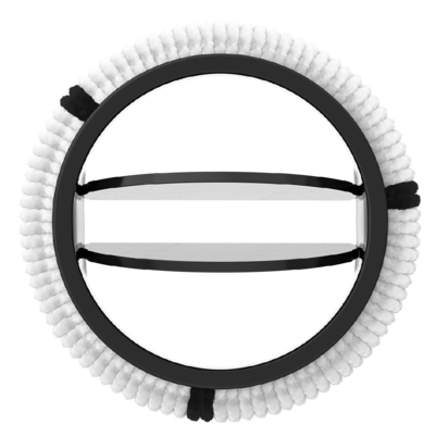 Regent